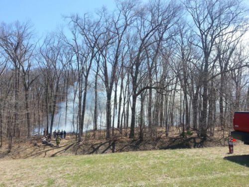 2014-04-24-11.58.13