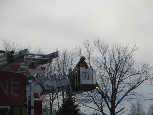 IMG 0043 (1) (1)